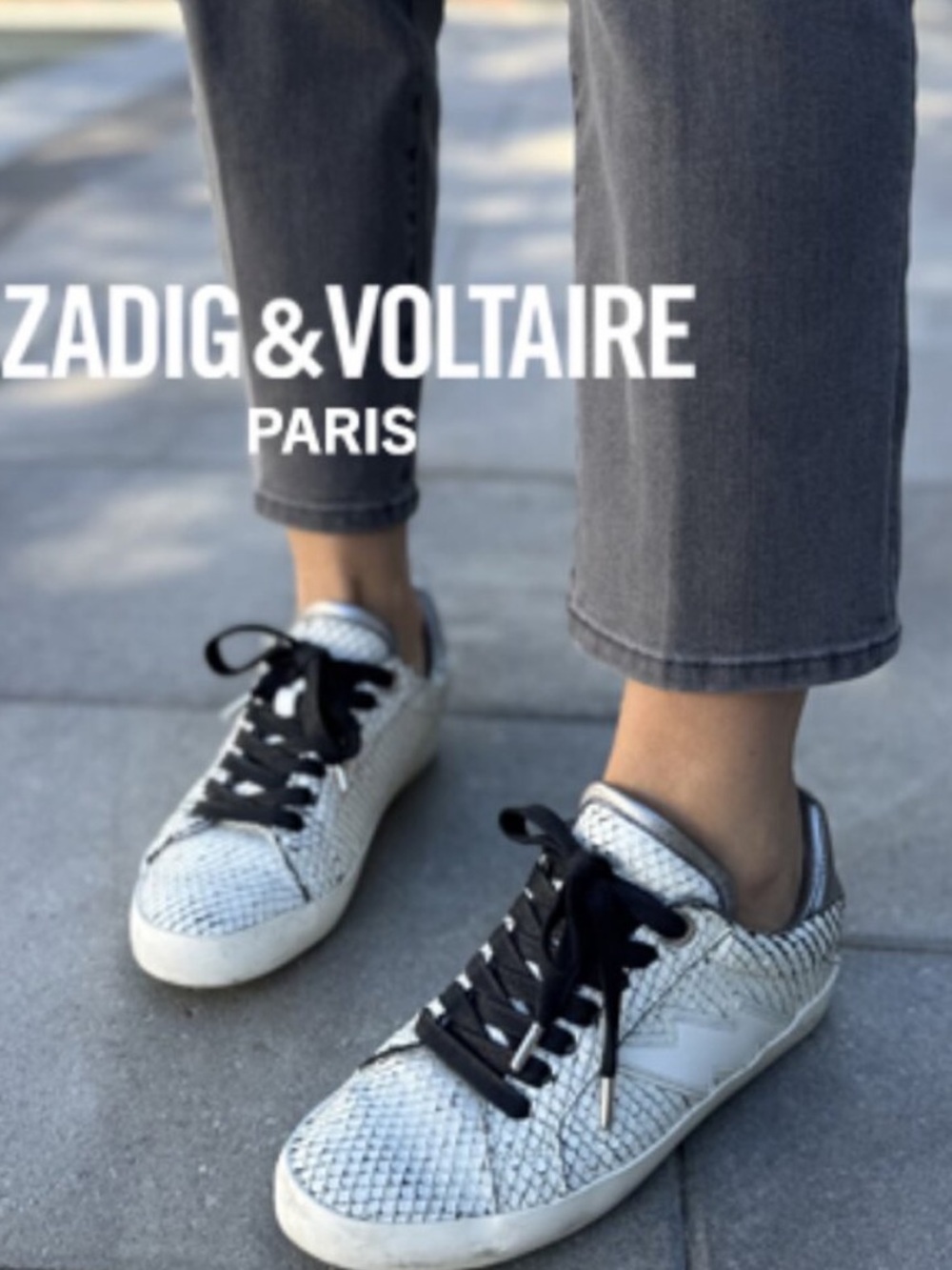 Zadig & Voltaire Silver Snakeskin Low-Top Sneakers with Black Laces box,ect